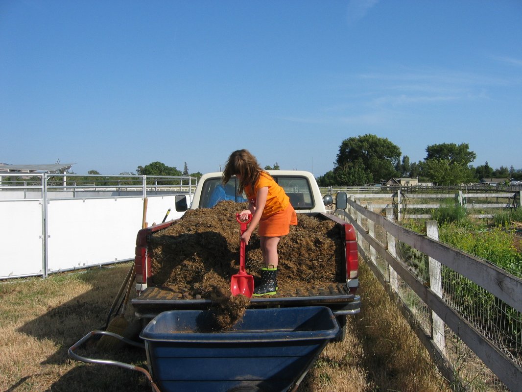 Renee shoveling manure