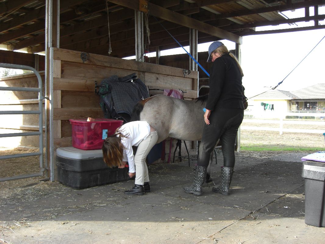 Renee and Winky in the barn