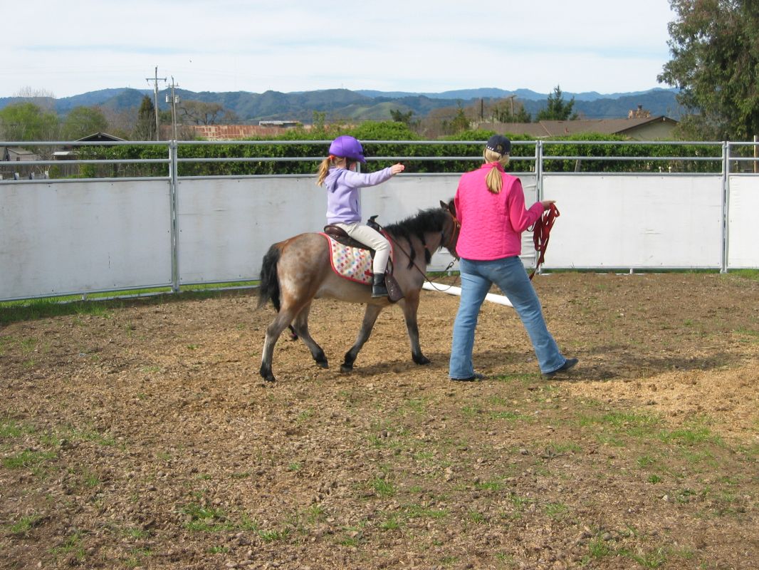 Renee and Winky in the round pen