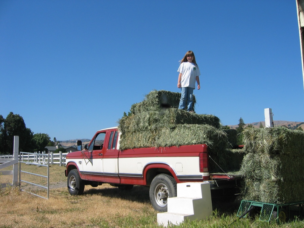 Stacking hay, 2009